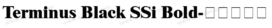 Terminus Black SSi Bold字体转换